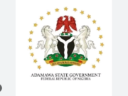 Adamawa State Government Scholarship Application Form 2023/2024 Adamawa State Government Scholarship