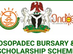 Ondo State Government Scholarship Application Form 2023/2024 Ondo State Government Scholarship