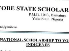 Yobe State Government Scholarship Application Form 2023/2024
